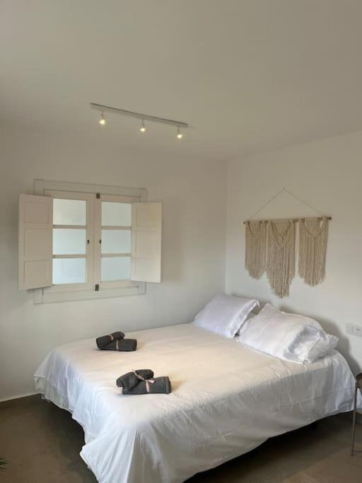 Casa Plaza 2 Daire Vega de Rio de Palmas Dış mekan fotoğraf