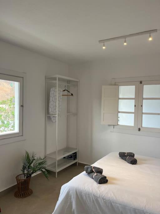 Casa Plaza 2 Daire Vega de Rio de Palmas Dış mekan fotoğraf